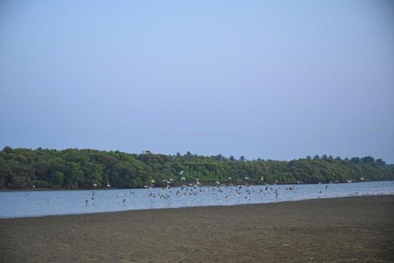 Hotel Reunion Ocean Tides Udupi Exterior foto